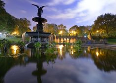 a fountain in the middle of a park at night