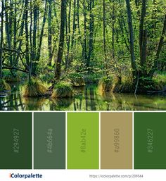 the color palette is green and brown, with some trees in the backround