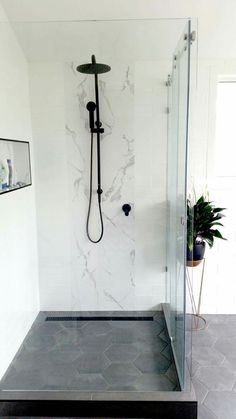 a bathroom with a walk in shower next to a potted plant