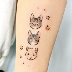 three cats on the arm with stars around them