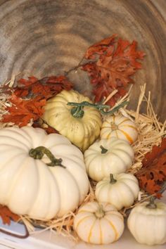 white pumpkins and gourds in a metal bowl with autumn leaves on the ground