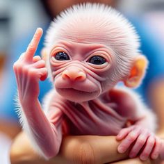 a close up of a person holding a fake baby monkey in their hand and pointing to the side