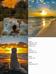 there is a dog that is sitting in the water at sunset and on pinterest