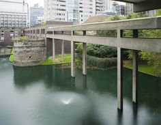 the water is very blue and green in this city park area with tall buildings on either side