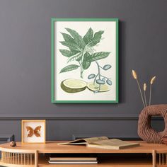 a coffee table with books and pictures on it in front of a wall mounted plant