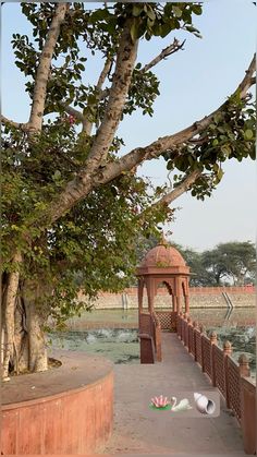 a gazebo sitting on the side of a wooden walkway next to a tree and water