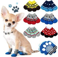 a small dog sitting next to several pairs of socks