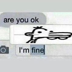 an image of someone's face with the words are you ok? i'm fine