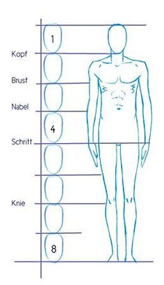 an image of the body and its measurements