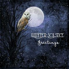 an owl sitting on top of a tree branch in front of a full moon with the words winter solstic greetings