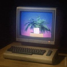 an old computer with a palm tree on it's screen and keyboard in front of the monitor