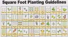 a square foot planting guide with pictures of plants and vegetables on it's sides