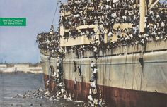 a large group of people hanging off the side of a boat