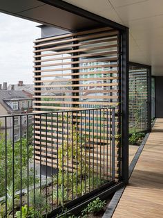 a balcony with wooden slats on the side and plants in the foreground, overlooking a cityscape