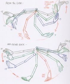 the diagram shows how to draw hands with different angles and directions for each hand position