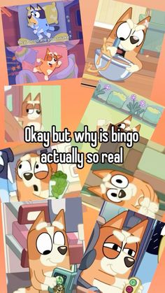 an image of cartoon characters with caption that reads okay but why is bingo actually so real?