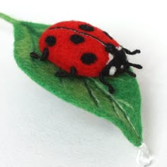 a lady bug sitting on top of a green leaf