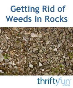 the words getting rid of weeds in rocks are shown above an image of dirt and grass