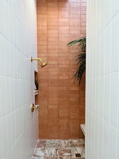 a walk in shower sitting next to a plant on top of a tiled flooring