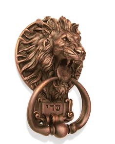 a lion's head is attached to the handle of a doorknobl