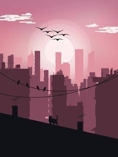 birds are flying over the city at sunset