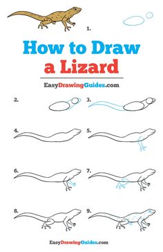 how to draw a lizard for kids with easy step - by - step drawing instructions