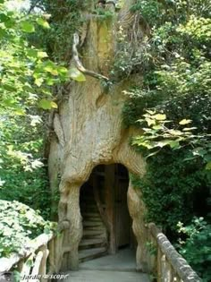 a tree that has been carved into the side of a building with stairs leading up to it