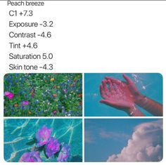 four different pictures with the same person's hand reaching out for flowers and clouds