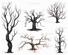 four different types of trees with no leaves on the tops and branches, all without leaves