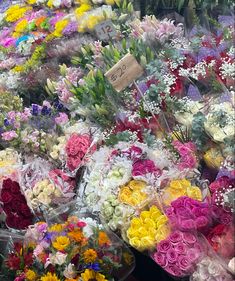 many different colored flowers are on display for sale