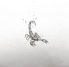 a black and white drawing of a scorpion