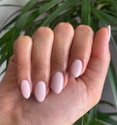 Baby Pink Nails, Plain Nails, Light Pink Nails, Her Nails, Pink Nail, Pink Acrylic Nails, Neutral Nails