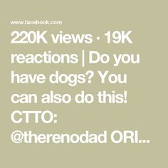 the text reads 200k views 19k reactions do you have dogs? you can also do