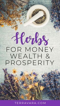 Magic herbs for attracting money, wealth and prosperity. Witchcraft Herbs Meanings, Herbs For Attraction, Money Herbs Witchcraft, Essential Oils For Money, Herb Spells Herbal Magic, Herbs For Wealth, Money Drawing Herbs, Money Magick Herbs, Money Herbs Magic