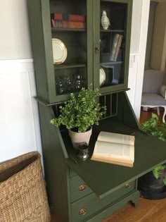 a green hutch with books and plants in it