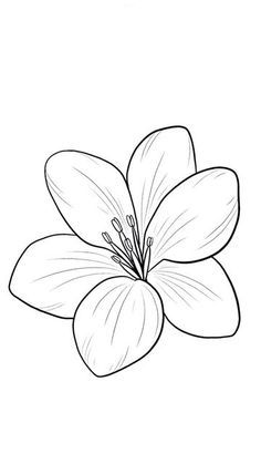 a drawing of a flower on a white background