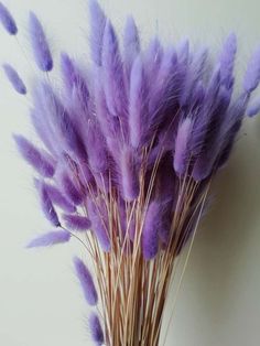 some purple feathers are in a vase on a table