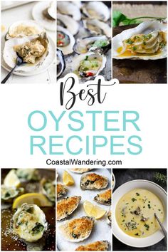 the best oyster recipes and how to use them in your next dinner or dessert recipe