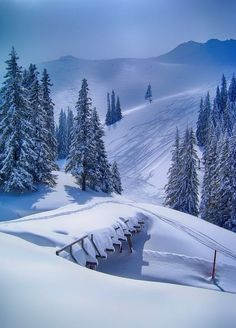 a snow covered mountain with trees and benches