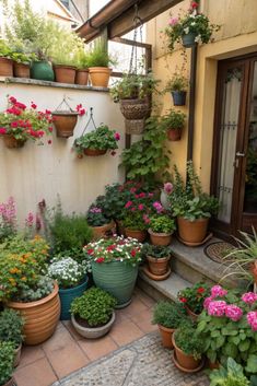 many potted plants and flowers on the outside of a house