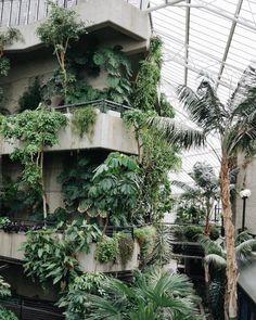 the inside of a building with many plants growing on it's walls and balconies