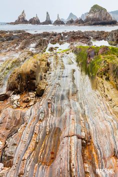 the rocks are covered with moss and algae