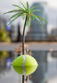 a small palm tree sitting on top of a green ball in the middle of water