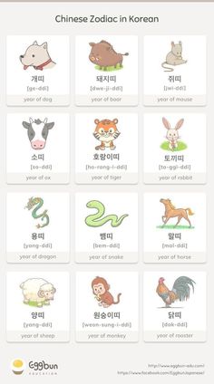 an image of chinese zodiacs in korean