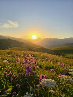 the sun is setting over a field full of wildflowers and mountains in the distance