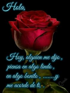 a red rose sitting on top of a black background with the words hola written in spanish