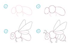 step by step instructions to draw a bee