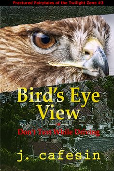 the front cover of birds eye view don't tell while staring by j c cafsin