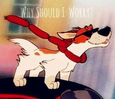 a cartoon dog with a tie on top of a red car and the words, why should i worry?