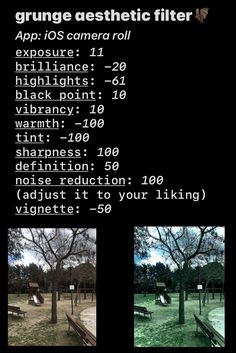 an image of a park with benches and trees in the background text reads grunge aesthetic filter